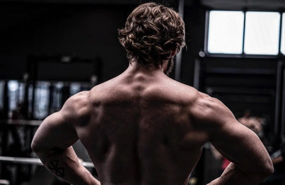Musculation : Maximisez vos Résultats en boostant votre metabolisme